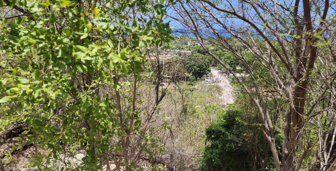 Fourth image of 107 Canewood Close, Rest Have in BULL BAY, St. Andrew, Jamaica - property is For Sale