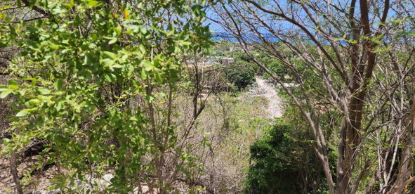 Fourth image of 107 Canewood Close, Rest Have in BULL BAY, St. Andrew, Jamaica - property is For Sale