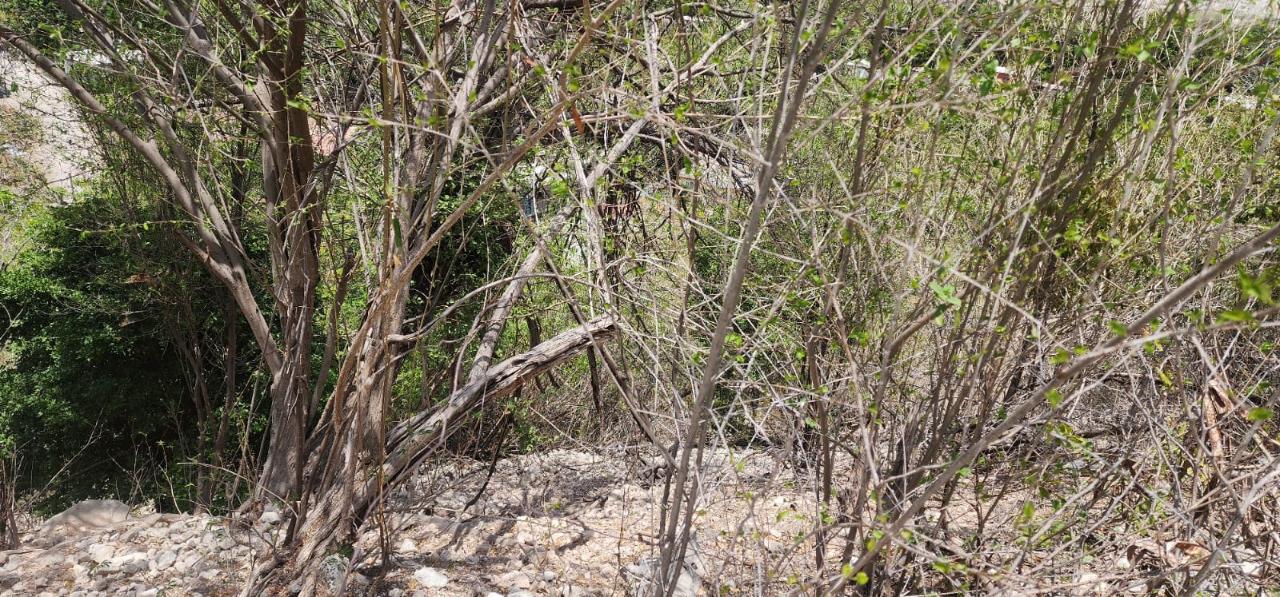 Fifth image of 107 Canewood Close, Rest Have in BULL BAY, St. Andrew, Jamaica - property is For Sale