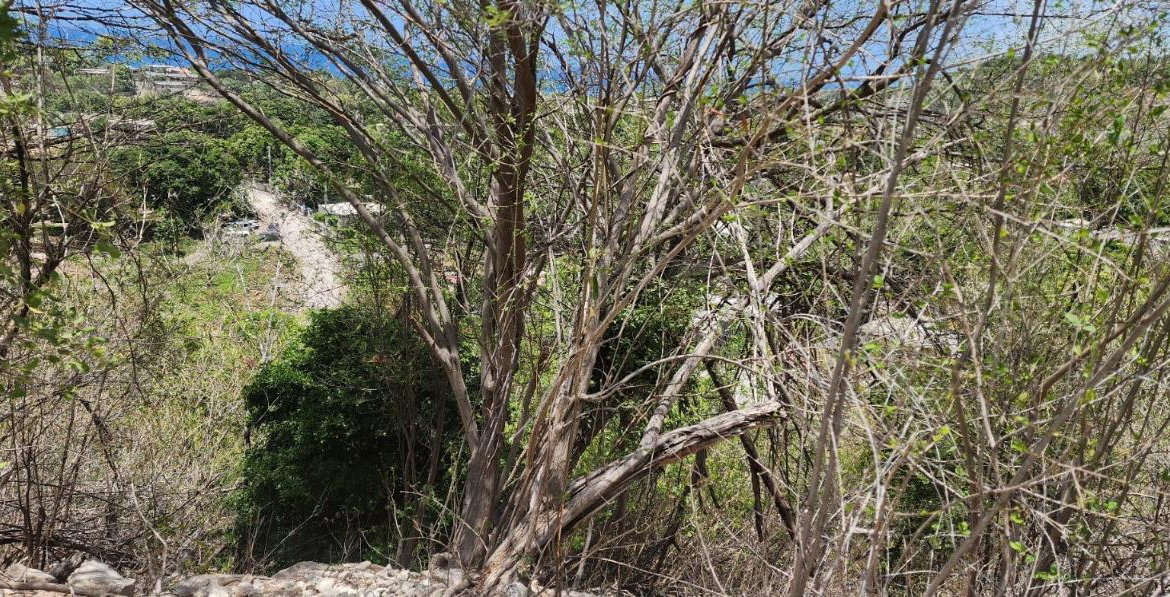 Sixth image of 107 Canewood Close, Rest Have in BULL BAY, St. Andrew, Jamaica - property is For Sale