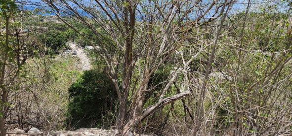 Sixth image of 107 Canewood Close, Rest Have in BULL BAY, St. Andrew, Jamaica - property is For Sale
