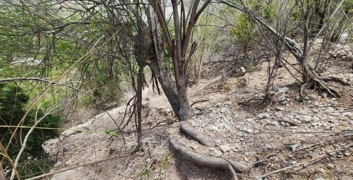 Seventh image of 107 Canewood Close, Rest Have in BULL BAY, St. Andrew, Jamaica - property is For Sale