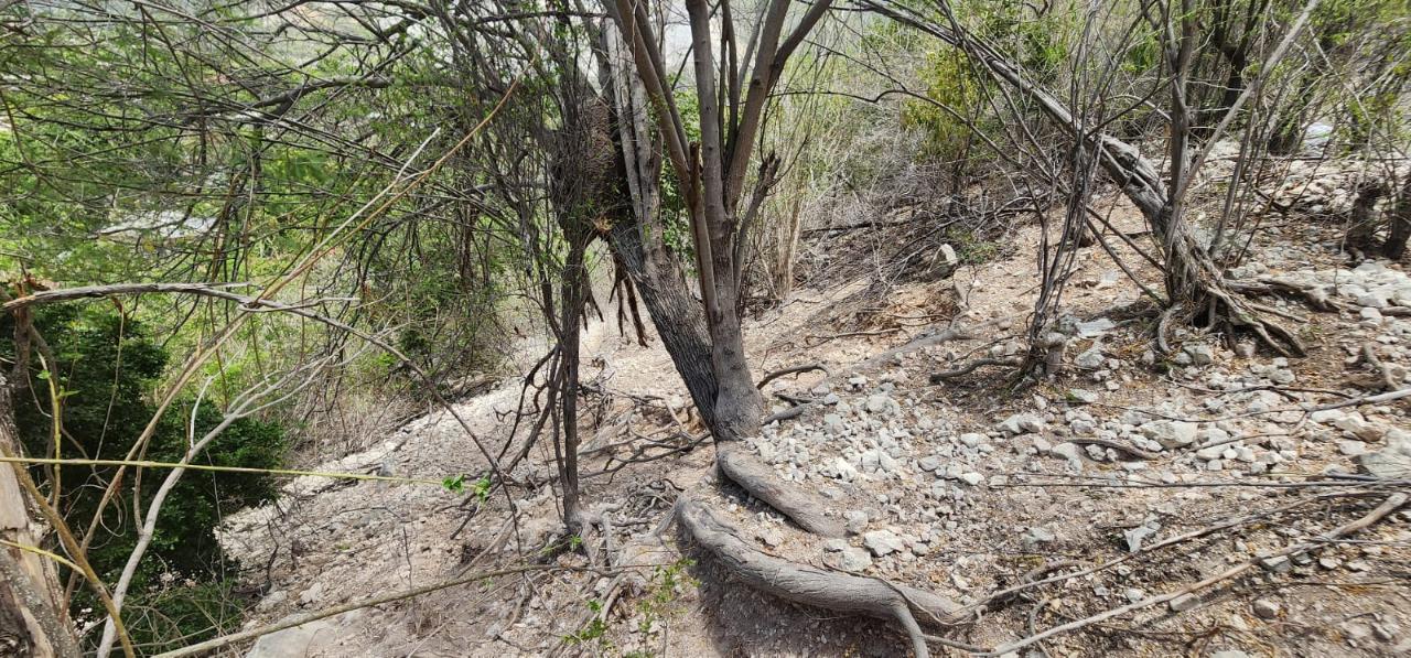 Seventh image of 107 Canewood Close, Rest Have in BULL BAY, St. Andrew, Jamaica - property is For Sale