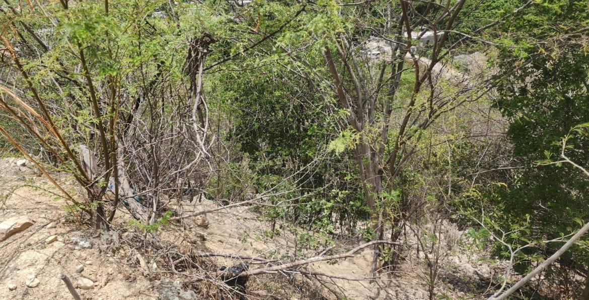 Ninth image of 107 Canewood Close, Rest Have in BULL BAY, St. Andrew, Jamaica - property is For Sale