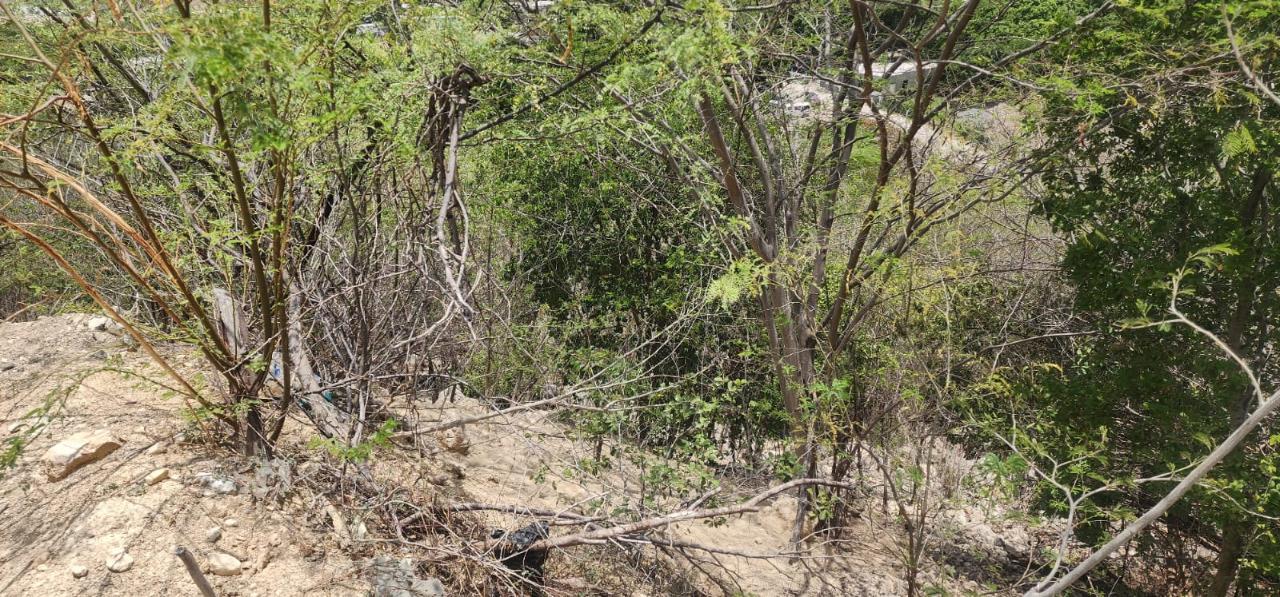 Ninth image of 107 Canewood Close, Rest Have in BULL BAY, St. Andrew, Jamaica - property is For Sale