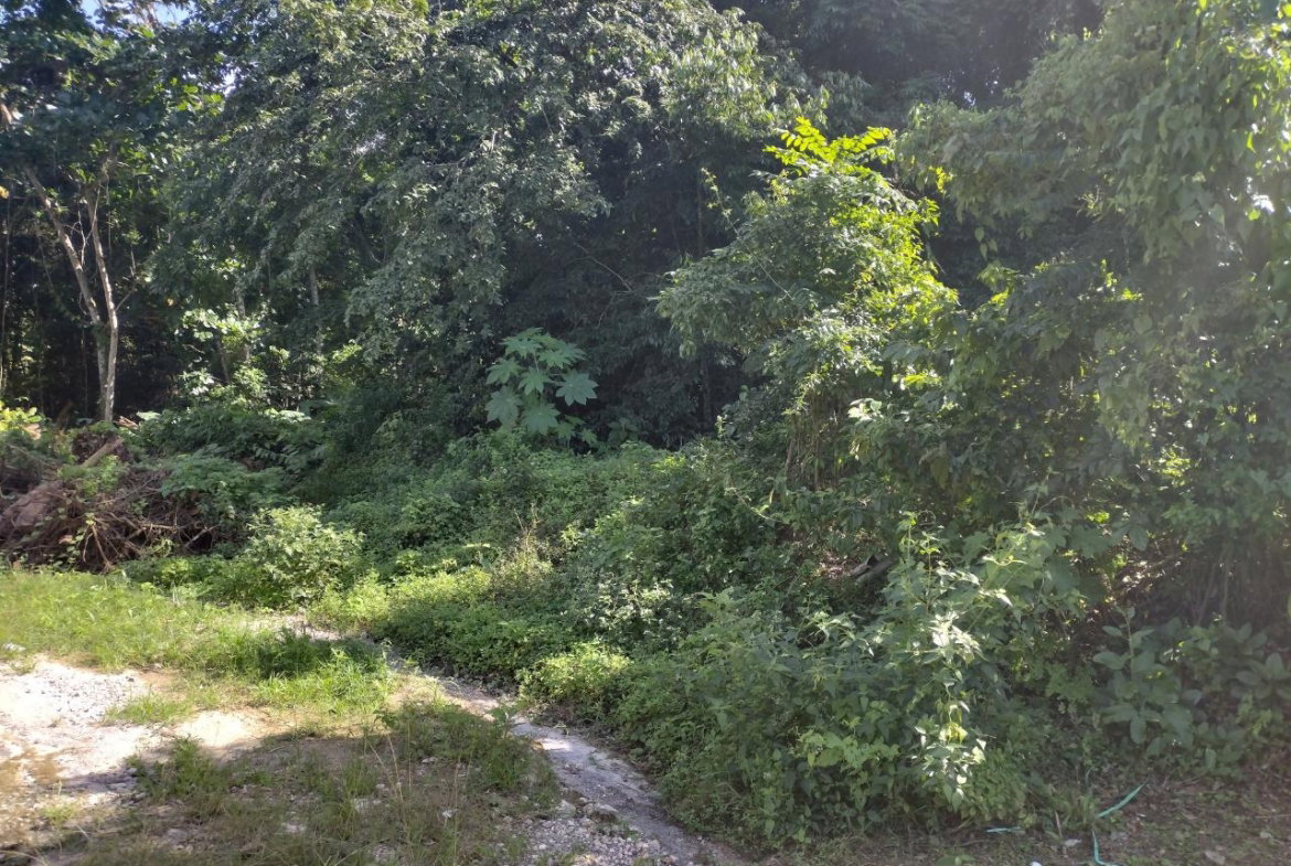 Second image of Lot-125 Tripoli in Runaway Bay, St. Ann, Jamaica - property is For Sale