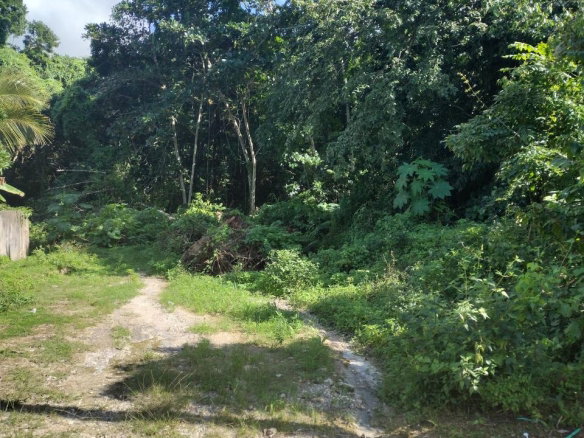 First image of Lot-125 Tripoli in Runaway Bay, St. Ann, Jamaica - property is For Sale