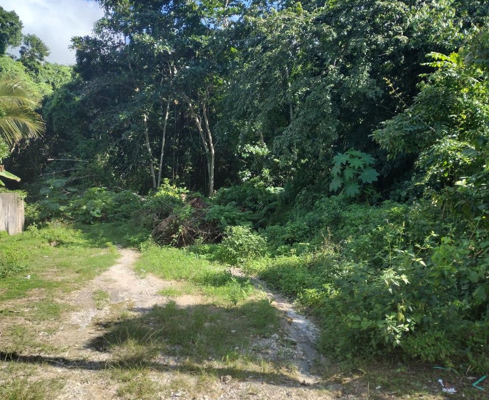 First image of Lot-125 Tripoli in Runaway Bay, St. Ann, Jamaica - property is For Sale