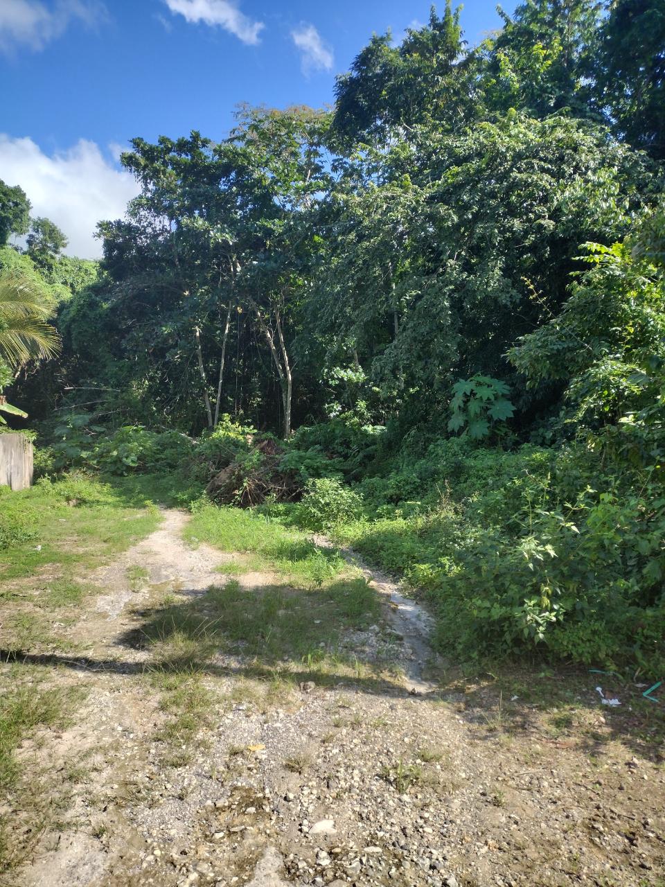 First image of Lot-125 Tripoli in Runaway Bay, St. Ann, Jamaica - property is For Sale