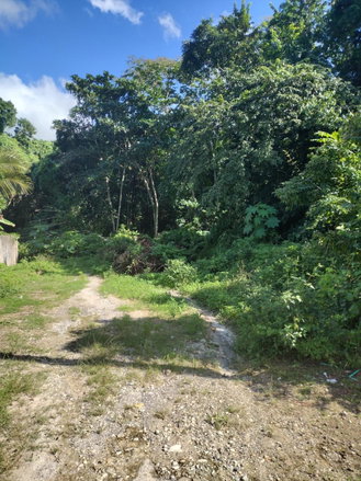 First image of Lot-125 Tripoli in Runaway Bay, St. Ann, Jamaica - property is For Sale