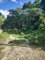 First image of Lot-125 Tripoli in Runaway Bay, St. Ann, Jamaica - property is For Sale