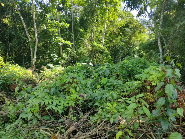 Third image of Lot-126 Tripoli in Runaway Bay, St. Ann, Jamaica - property is For Sale