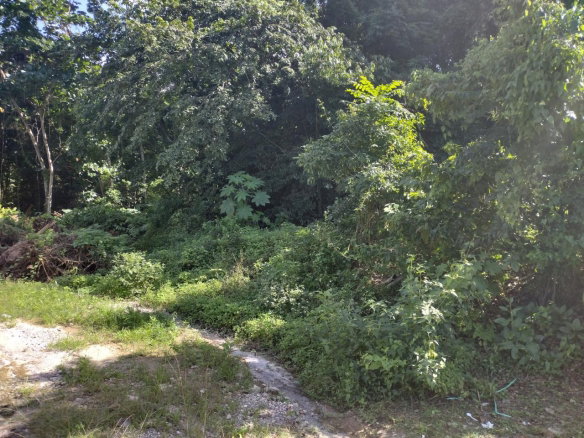 First image of Lot-126 Tripoli in Runaway Bay, St. Ann, Jamaica - property is For Sale