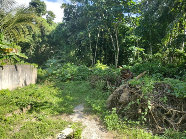 Second image of Lot-126 Tripoli in Runaway Bay, St. Ann, Jamaica - property is For Sale