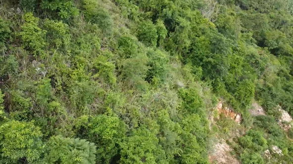 Seventh image of 3 Smokey Vale Estate in Kingston 19, St. Andrew, Jamaica - property is For Sale