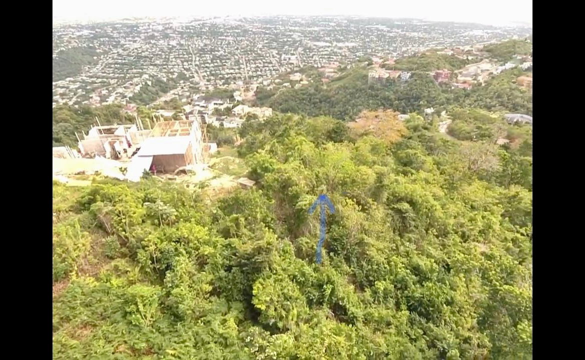 Second image of Lot 166 Pegasus Place in Kingston 19, St. Andrew, Jamaica - property is For Sale
