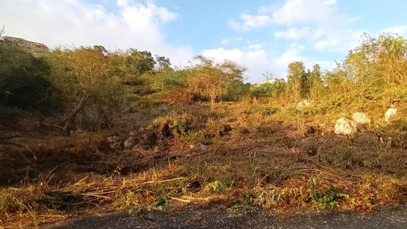Second image of Crum Ewing Drive in Red Hills, St. Andrew, Jamaica - property is For Sale