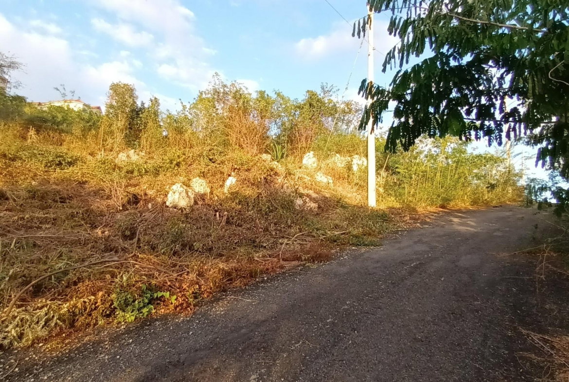 Eighth image of Crum Ewing Drive in Red Hills, St. Andrew, Jamaica - property is For Sale