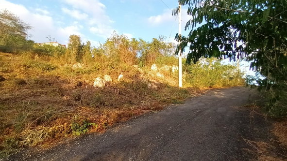 Eighth image of Crum Ewing Drive in Red Hills, St. Andrew, Jamaica - property is For Sale