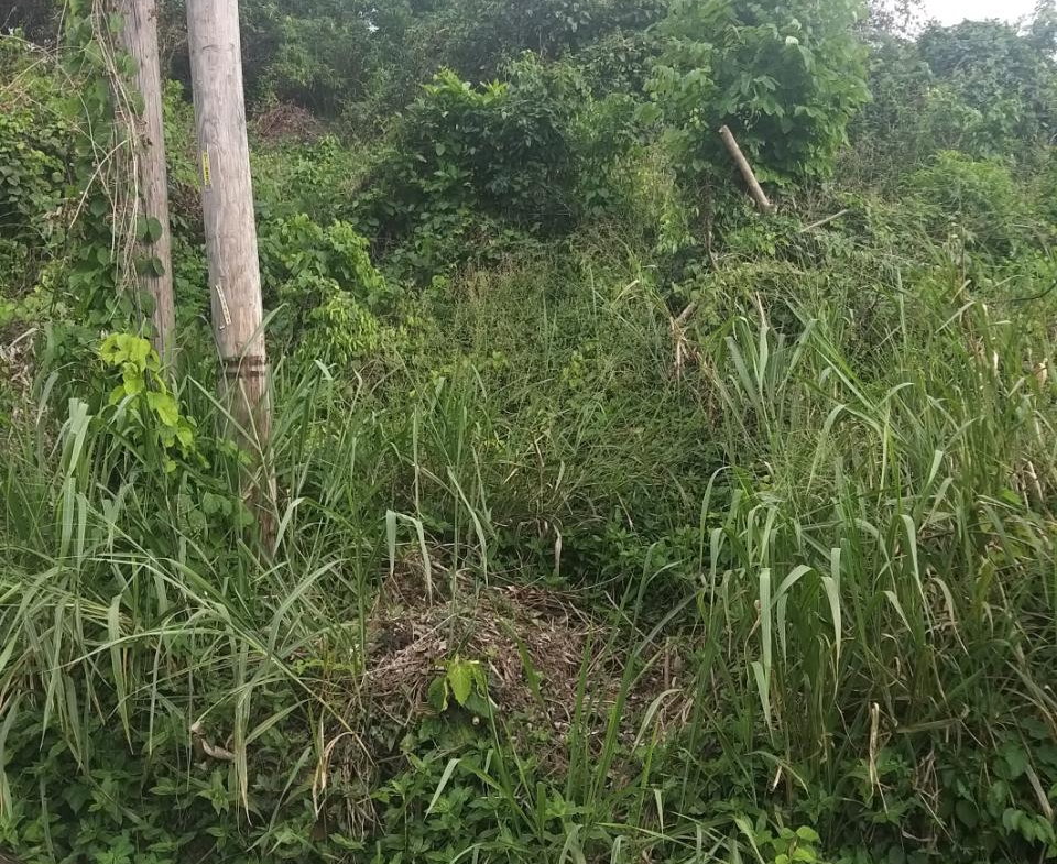 Fourth image of Lot 166 Pegasus Place in Kingston 19, St. Andrew, Jamaica - property is For Sale