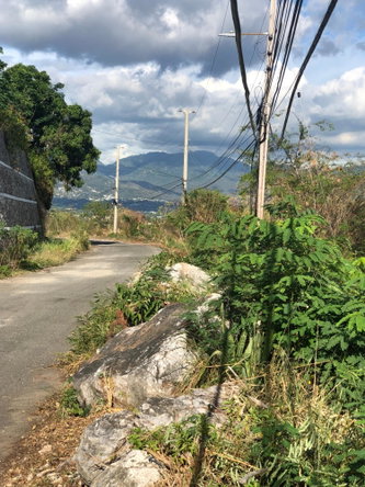 Third image of 18- Throne Circle in Kingston 19, St. Andrew, Jamaica - property is For Sale