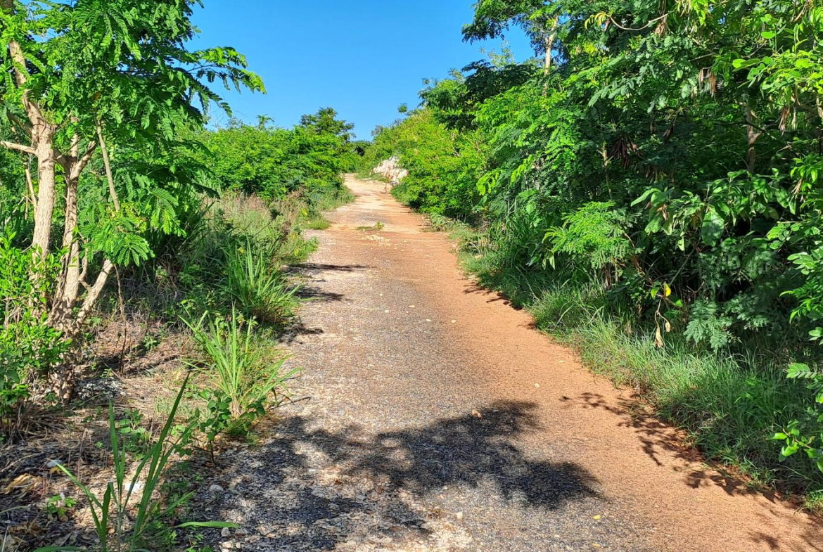 Third image of Lot 64- Pinewood Drive in Kingston 20, St. Andrew, Jamaica - property is For Sale