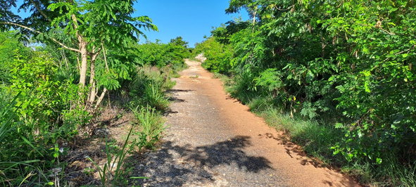 Third image of Lot 64- Pinewood Drive in Kingston 20, St. Andrew, Jamaica - property is For Sale