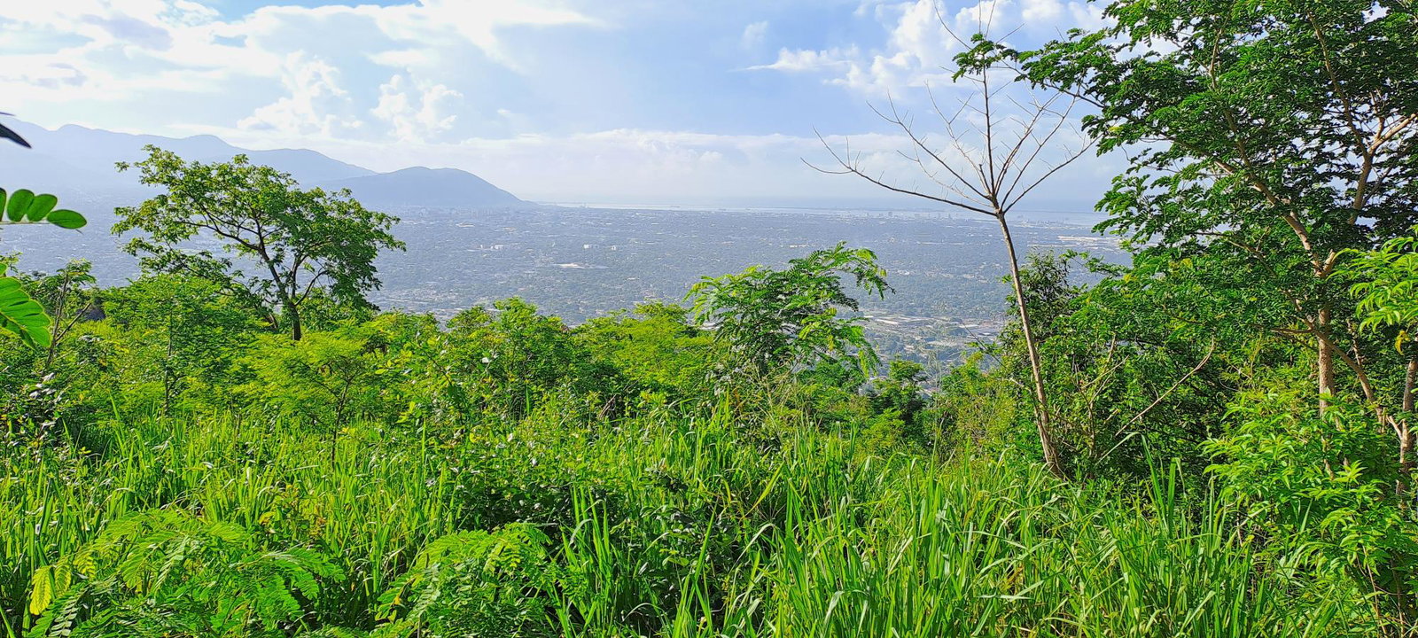 Fourth image of Lot 64- Pinewood Drive in Kingston 20, St. Andrew, Jamaica - property is For Sale