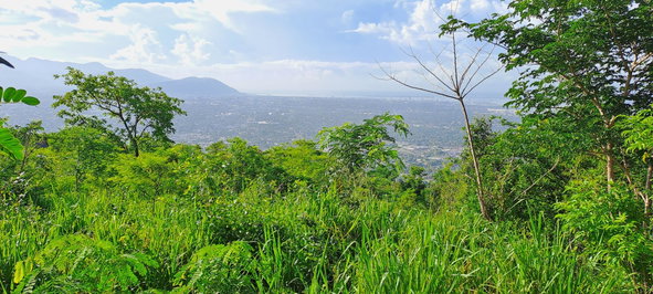 Fourth image of Lot 64- Pinewood Drive in Kingston 20, St. Andrew, Jamaica - property is For Sale