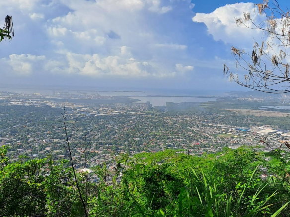 First image of Lot 64- Pinewood Drive in Kingston 20, St. Andrew, Jamaica - property is For Sale