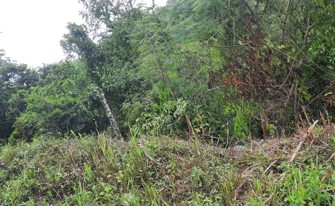 Second image of Cooper's Hill - Lot 1 in Coopers Hill, St. Andrew, Jamaica - property is For Sale