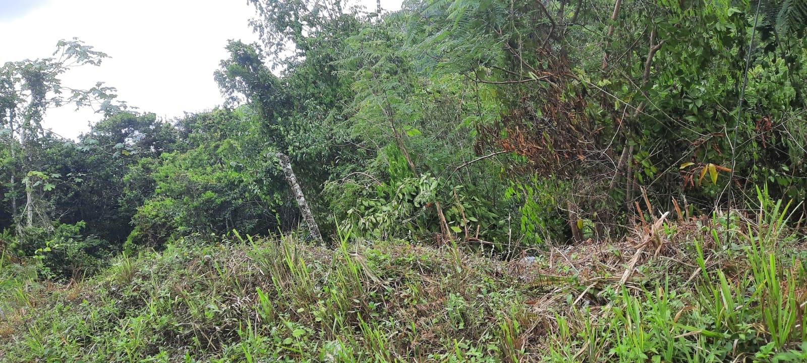 Second image of Cooper's Hill - Lot 1 in Coopers Hill, St. Andrew, Jamaica - property is For Sale