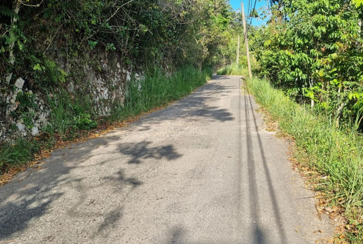 Third image of Cooper's Hill - Lot 1 in Coopers Hill, St. Andrew, Jamaica - property is For Sale