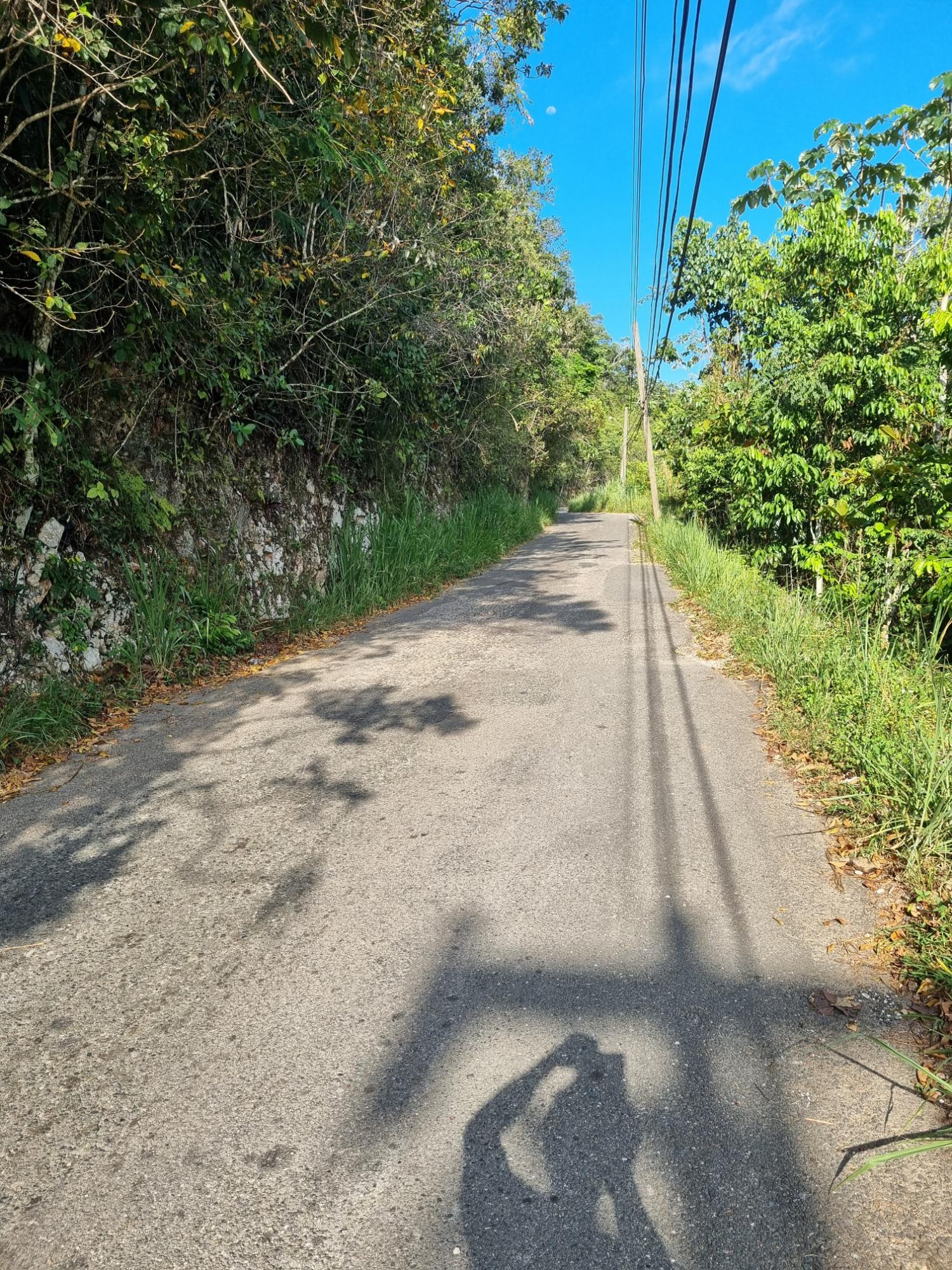 Third image of Cooper's Hill - Lot 1 in Coopers Hill, St. Andrew, Jamaica - property is For Sale