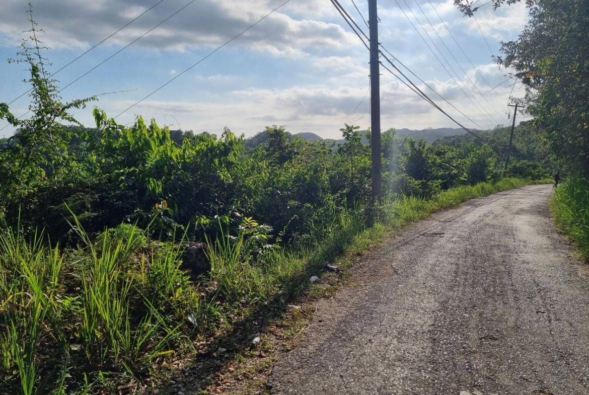 Fifth image of Cooper's Hill - Lot 1 in Coopers Hill, St. Andrew, Jamaica - property is For Sale
