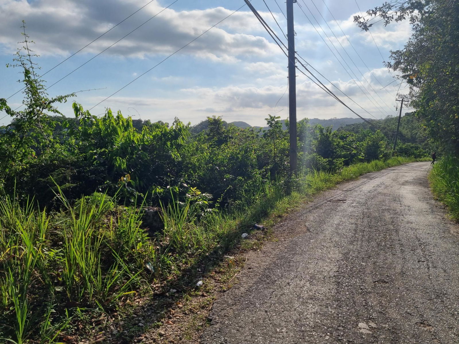 Fifth image of Cooper's Hill - Lot 1 in Coopers Hill, St. Andrew, Jamaica - property is For Sale