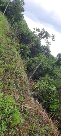 Sixth image of Cooper's Hill - Lot 1 in Coopers Hill, St. Andrew, Jamaica - property is For Sale