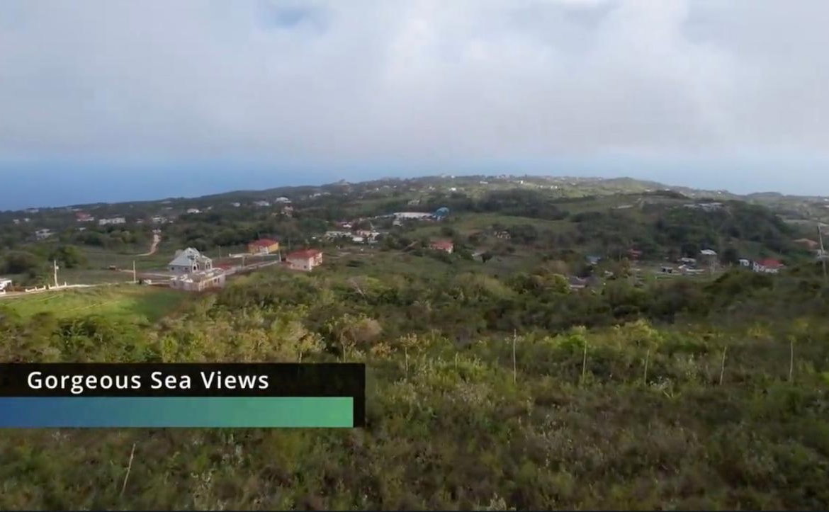 Third image of Lot 4 Bellevue Top Hill, St. el in Top Hill, St. Elizabeth, Jamaica - property is For Sale
