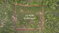 First image of Lot 4 Bellevue Top Hill, St. el in Top Hill, St. Elizabeth, Jamaica - property is For Sale