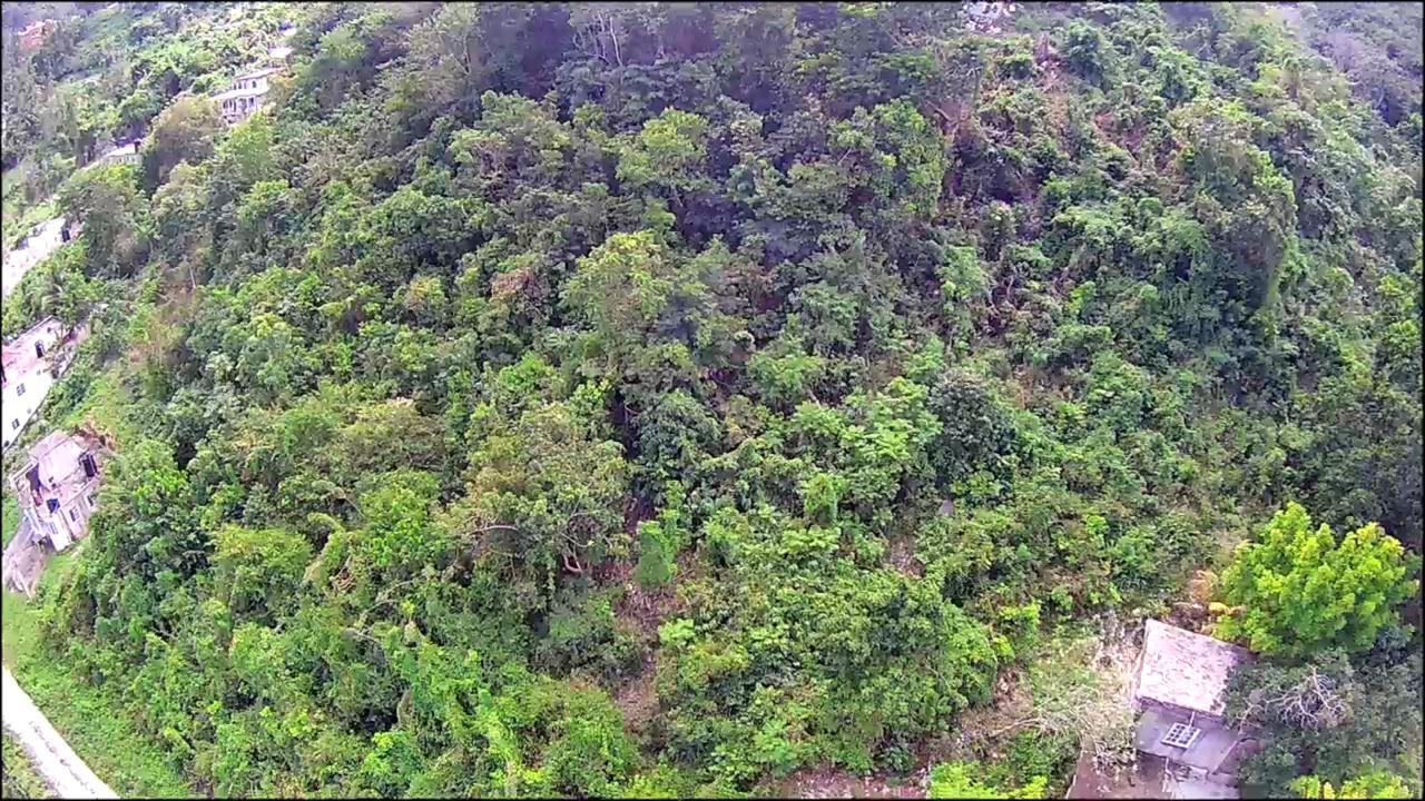 Twelfth image of 547 Haughton Tower Estate in Montego Bay, St. James, Jamaica - property is For Sale