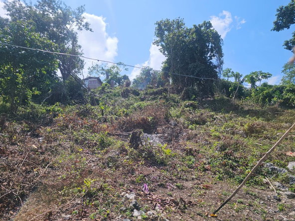 Sixteenth image of 547 Haughton Tower Estate in Montego Bay, St. James, Jamaica - property is For Sale
