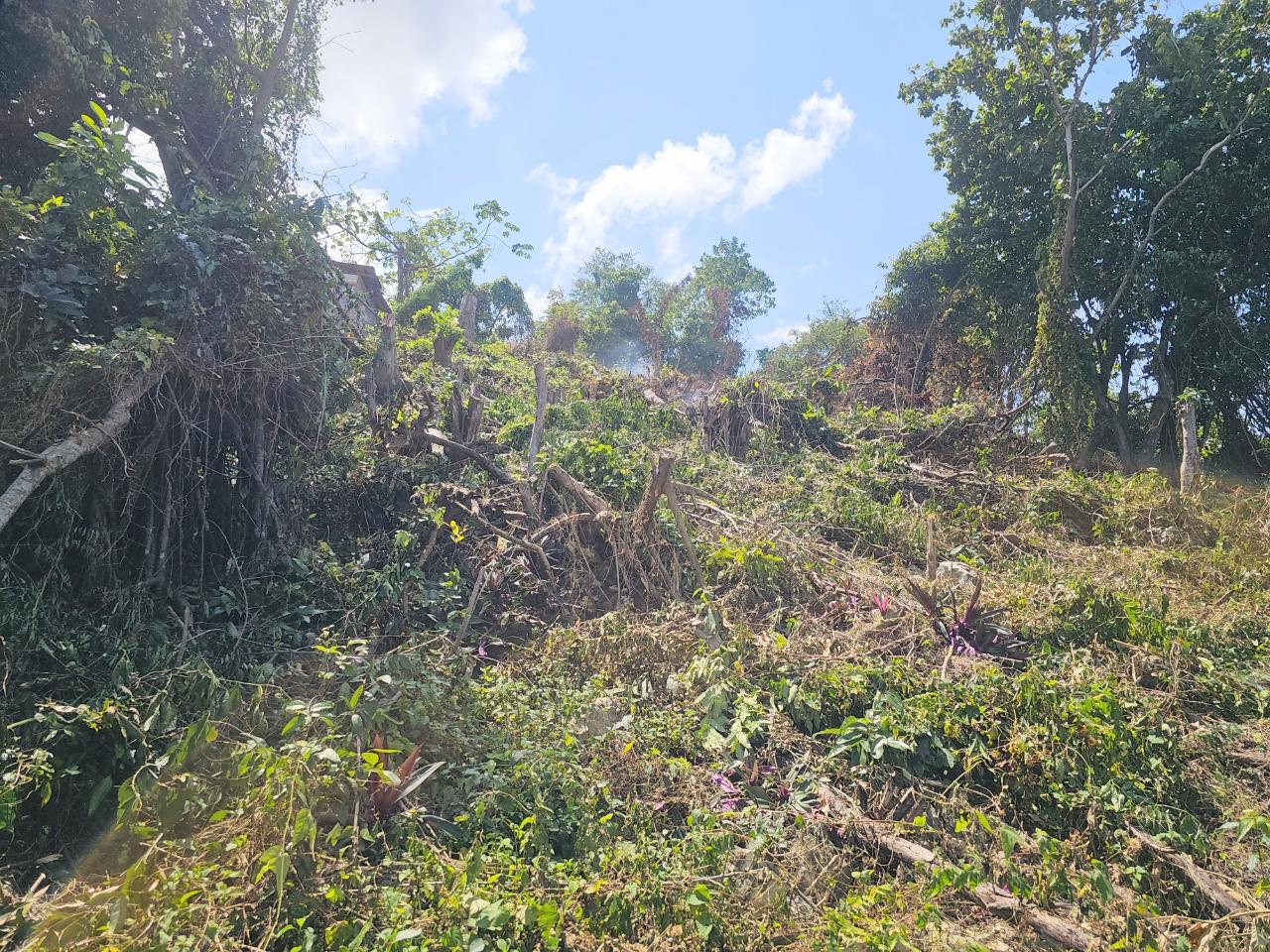 Eighteenth image of 547 Haughton Tower Estate in Montego Bay, St. James, Jamaica - property is For Sale