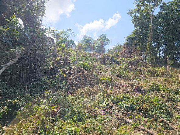 Eighteenth image of 547 Haughton Tower Estate in Montego Bay, St. James, Jamaica - property is For Sale