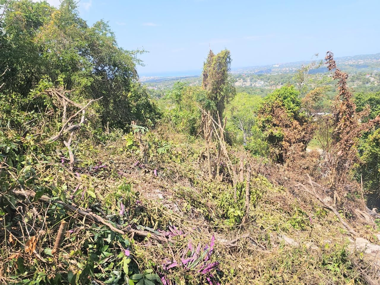 Twenty-Fifth image of 547 Haughton Tower Estate in Montego Bay, St. James, Jamaica - property is For Sale
