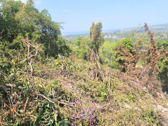 Twenty-Fifth image of 547 Haughton Tower Estate in Montego Bay, St. James, Jamaica - property is For Sale