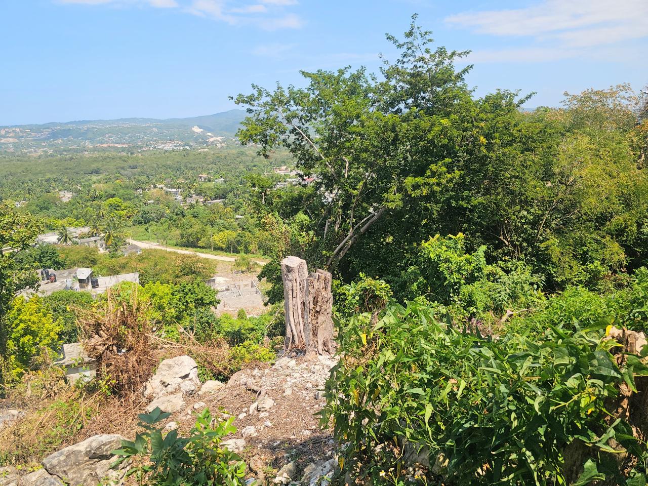 Twenty-Sixth image of 547 Haughton Tower Estate in Montego Bay, St. James, Jamaica - property is For Sale