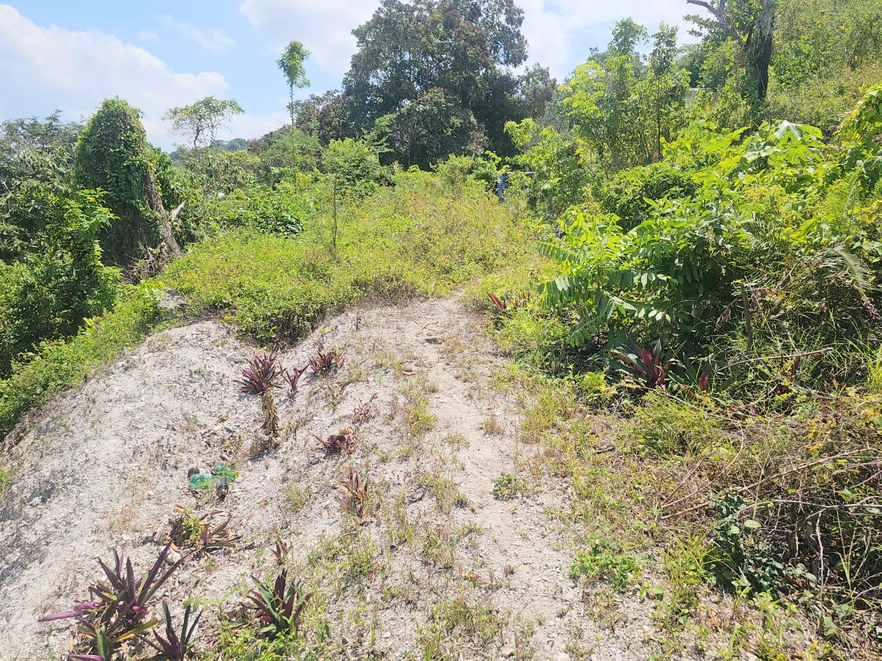 Twenty-Seventh image of 547 Haughton Tower Estate in Montego Bay, St. James, Jamaica - property is For Sale