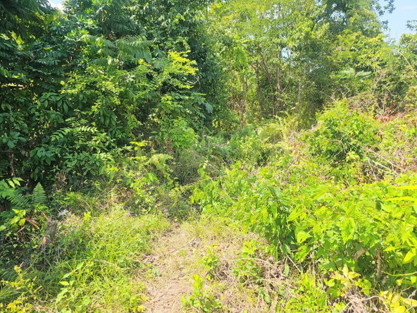 Twenty-Eighth image of 547 Haughton Tower Estate in Montego Bay, St. James, Jamaica - property is For Sale