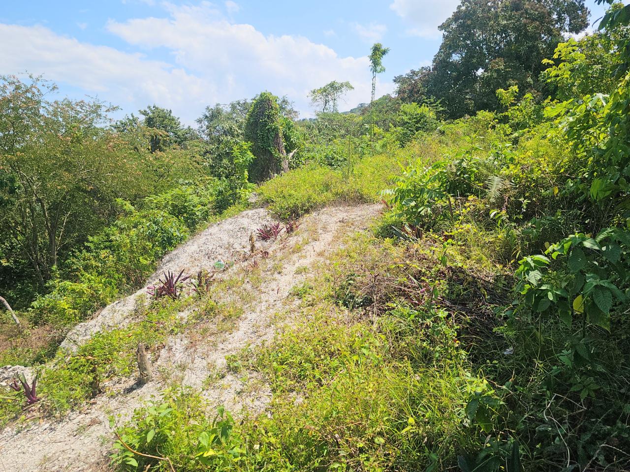 Twenty-Ninth image of 547 Haughton Tower Estate in Montego Bay, St. James, Jamaica - property is For Sale