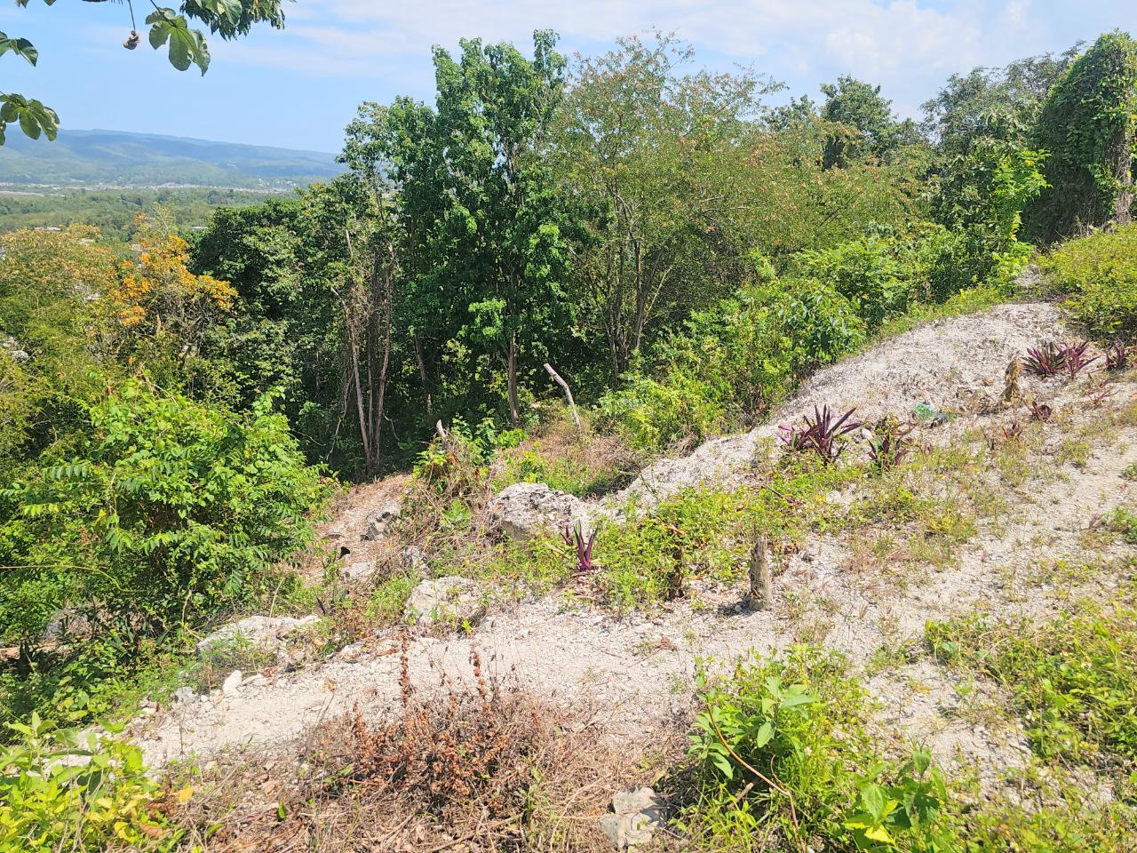 Thirtieth image of 547 Haughton Tower Estate in Montego Bay, St. James, Jamaica - property is For Sale
